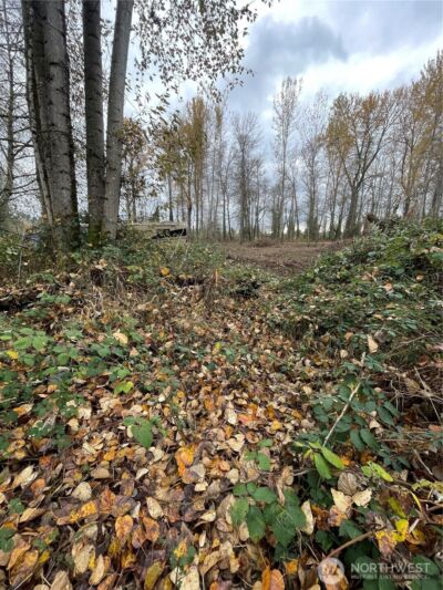 30598 100th Avenue SE, Auburn, WA 98092 - Photo 23