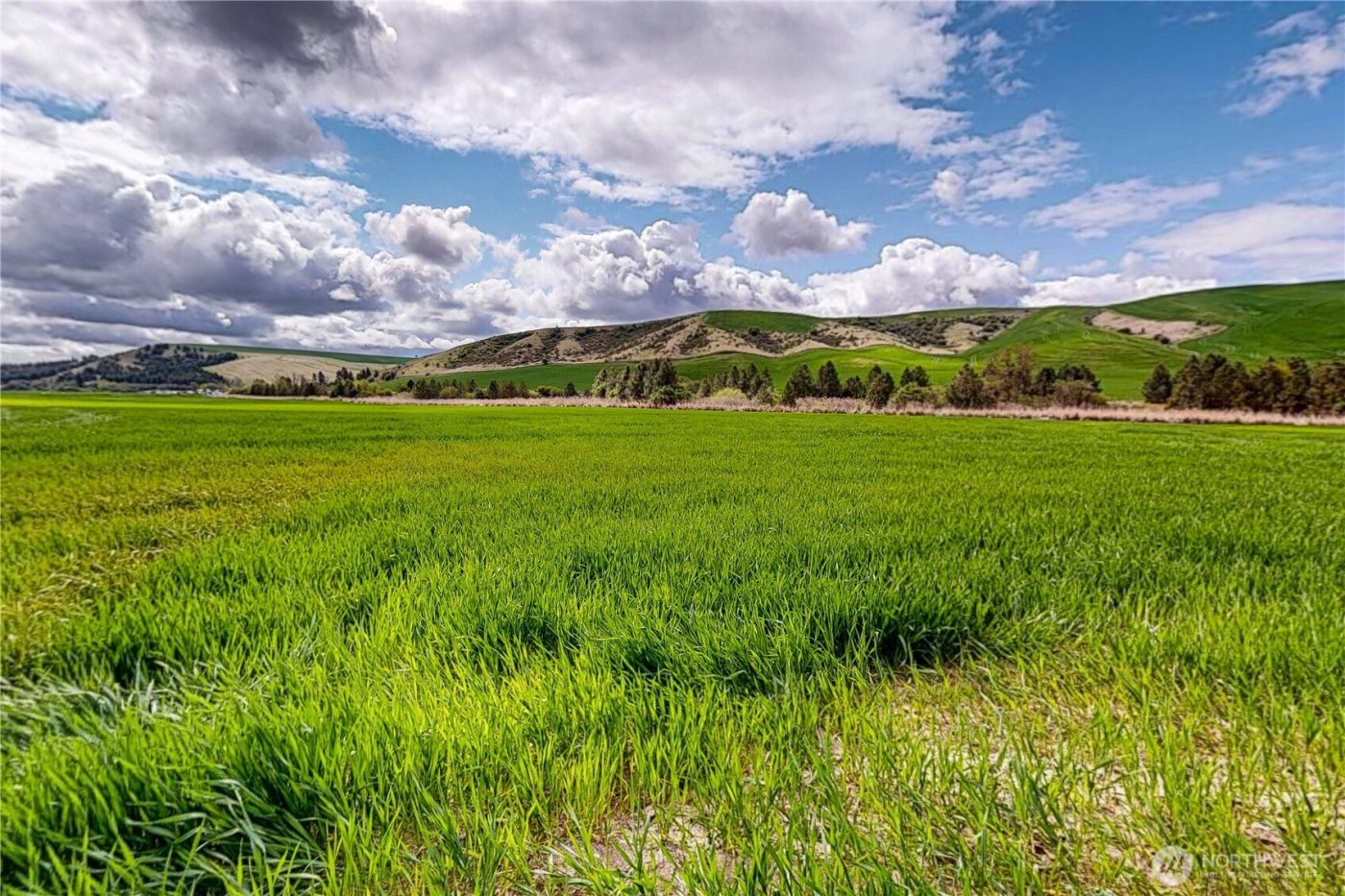 633 Lower Hogeye Road , Waitsburg, WA 99361