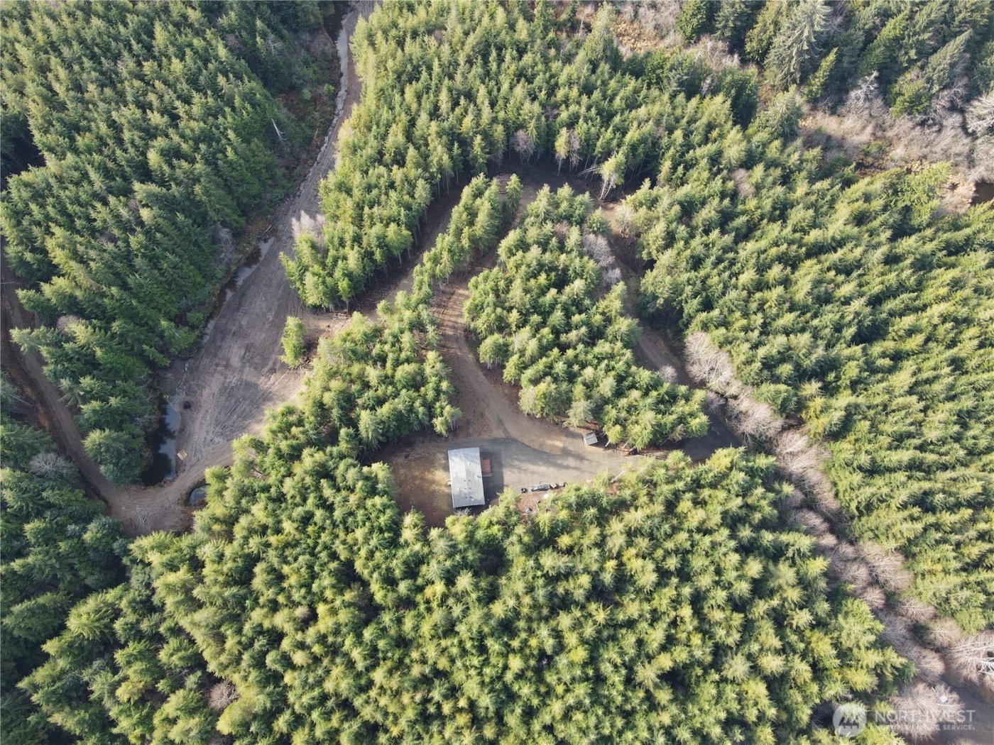 97 Dempsey Creek Lane , Aberdeen, WA 98520