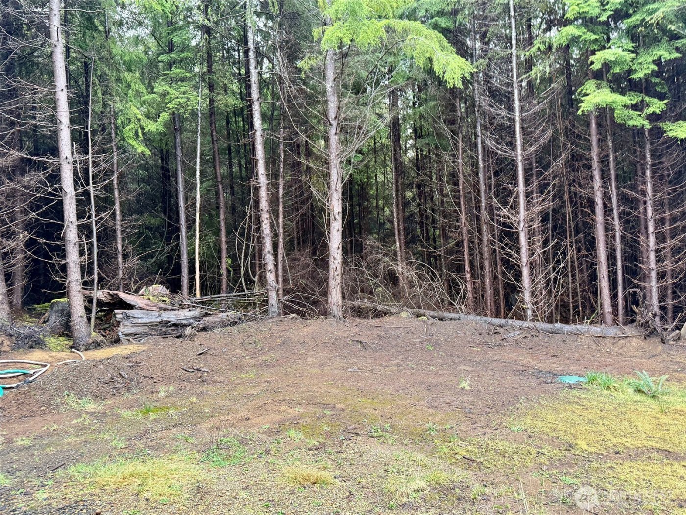 97 Dempsey Creek Lane , Aberdeen, WA 98520