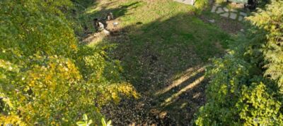 9619 57th Ave Avenue S, Seattle, WA 98118 - Photo 4