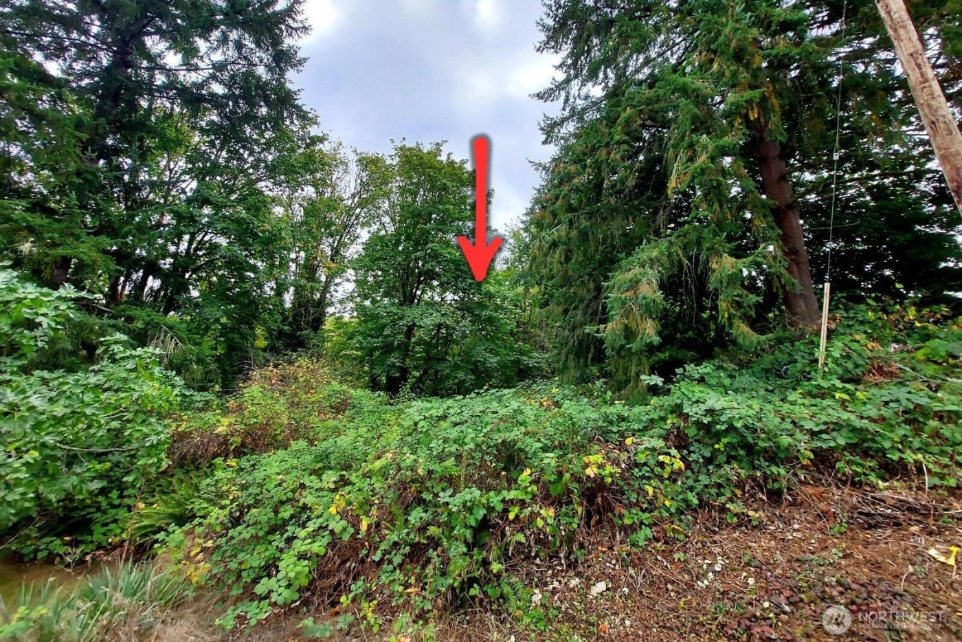 0 Lot C Melcher St , Port Orchard, WA 98366