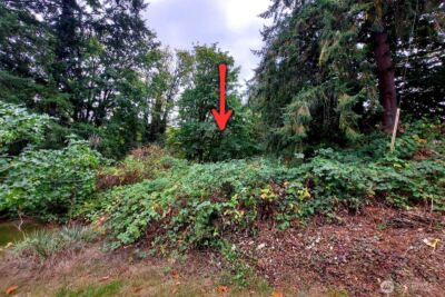 0 Lot C Melcher St , Port Orchard, WA 98366 - Photo 3