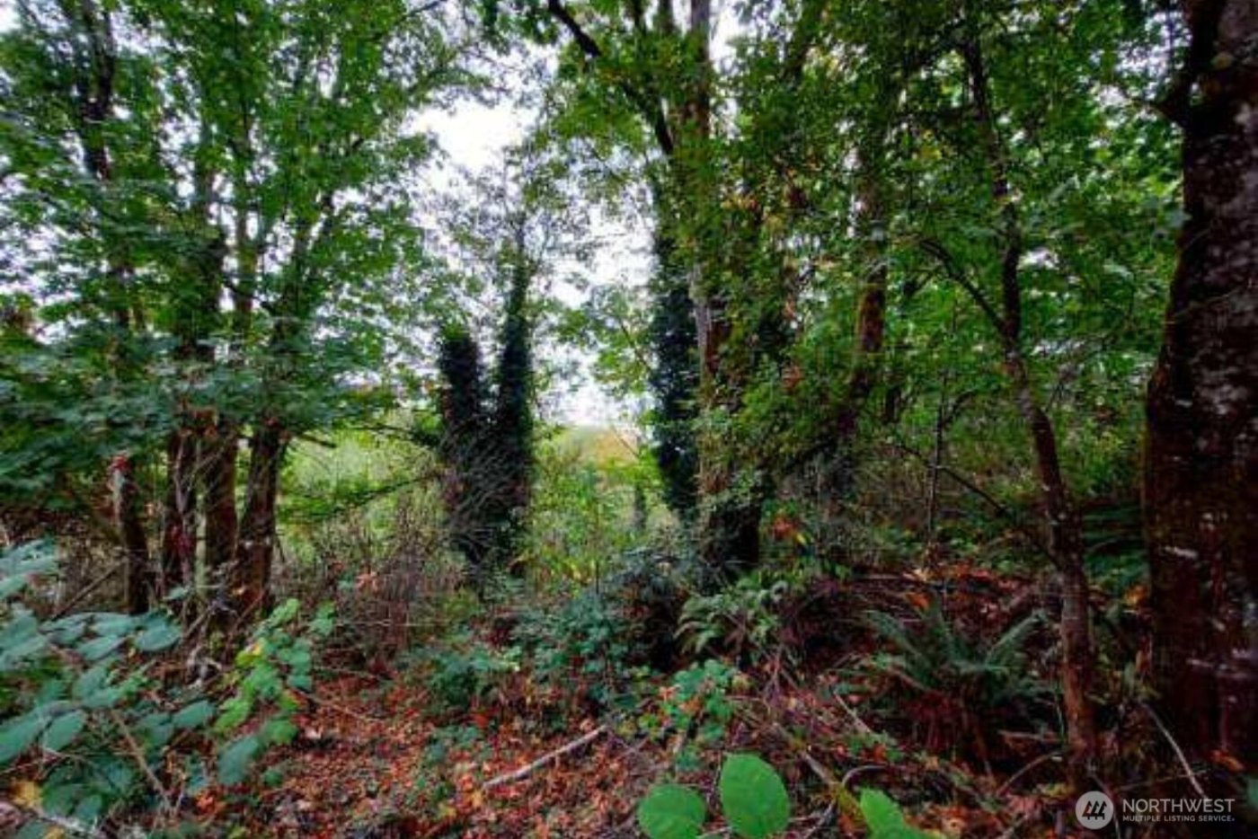 0 Lot C Melcher St , Port Orchard, WA 98366