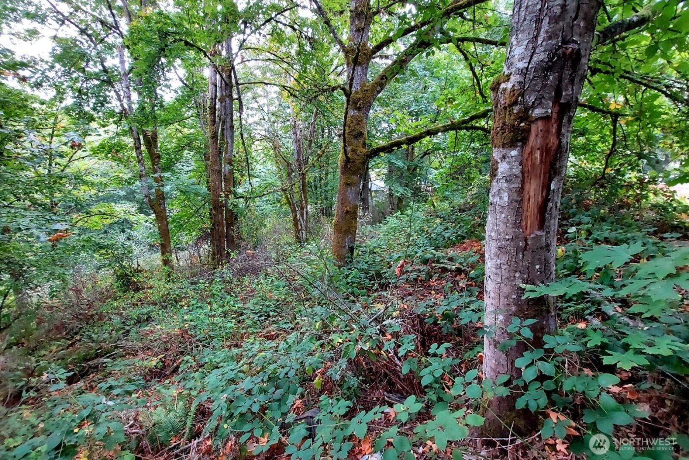 0 Lot C Melcher St , Port Orchard, WA 98366