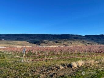 851 S Van Well Ave. , East Wenatchee, WA 98802 - Photo 3