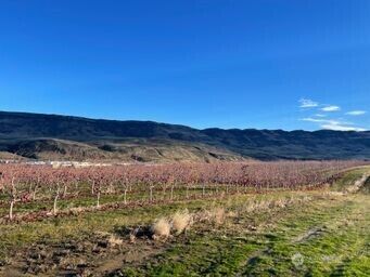 851 S Van Well Ave. , East Wenatchee, WA 98802 - Photo 4