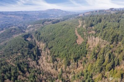 0 Cedar Mist Road , Amboy, WA 98601 - Photo 11