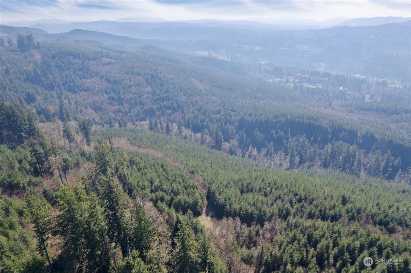 0 Cedar Mist Road , Amboy, WA 98601