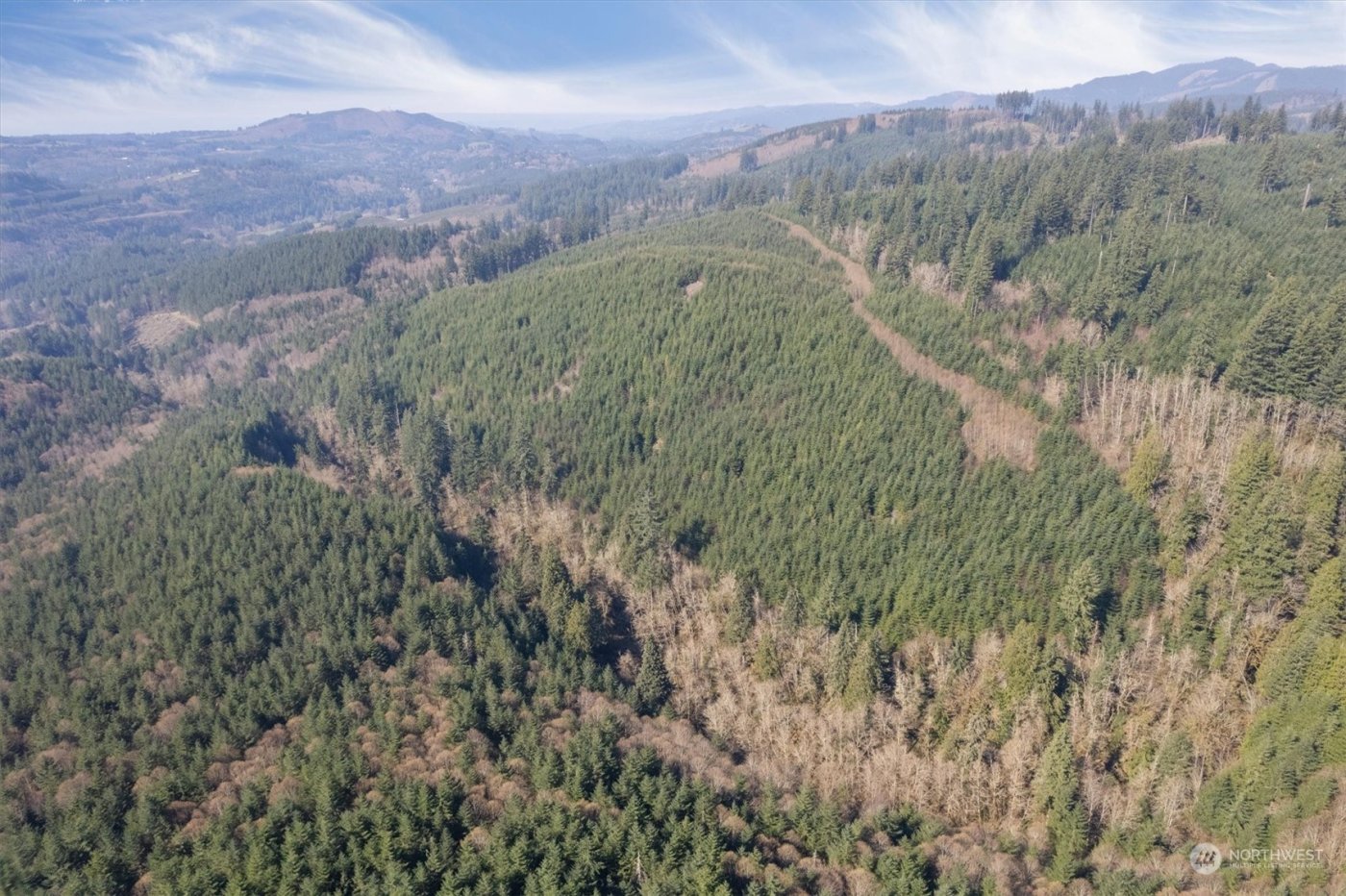 0 Cedar Mist Road , Amboy, WA 98601