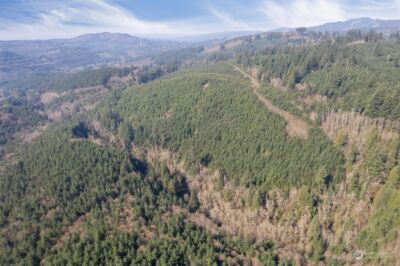 0 Cedar Mist Road , Amboy, WA 98601 - Photo 14