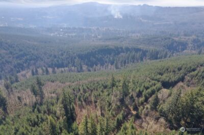 0 Cedar Mist Road , Amboy, WA 98601 - Photo 15