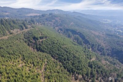 0 Cedar Mist Road , Amboy, WA 98601 - Photo 16