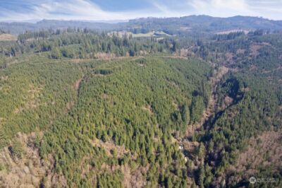 0 Cedar Mist Road , Amboy, WA 98601 - Photo 3