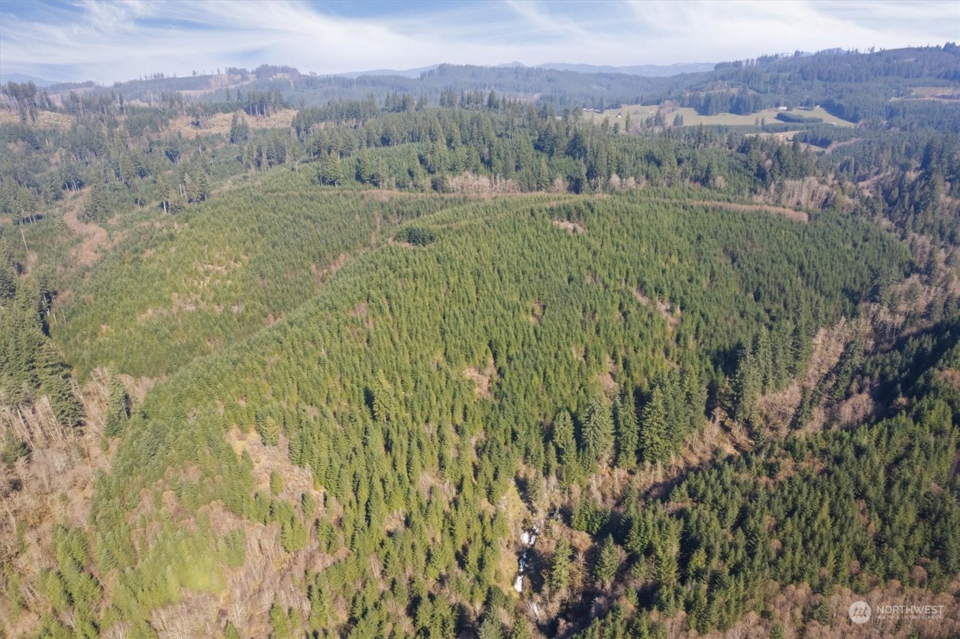 0 Cedar Mist Road , Amboy, WA 98601