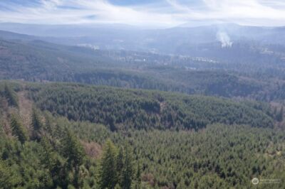 0 Cedar Mist Road , Amboy, WA 98601 - Photo 5