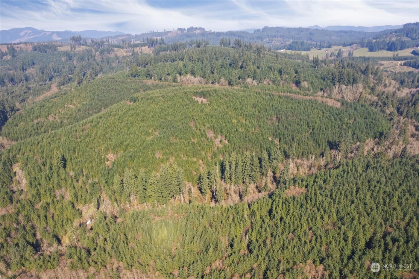 0 Cedar Mist Road , Amboy, WA 98601