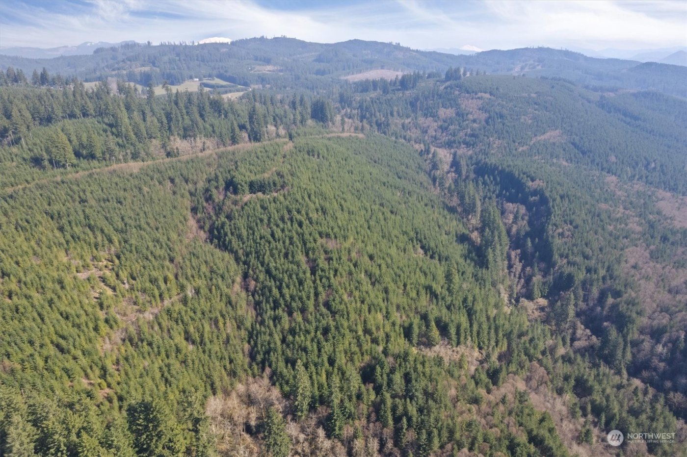 0 Cedar Mist Road , Amboy, WA 98601