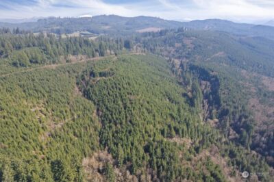 0 Cedar Mist Road , Amboy, WA 98601 - Photo 7