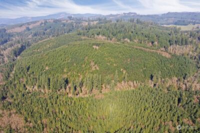 0 Cedar Mist Road , Amboy, WA 98601 - Photo 8