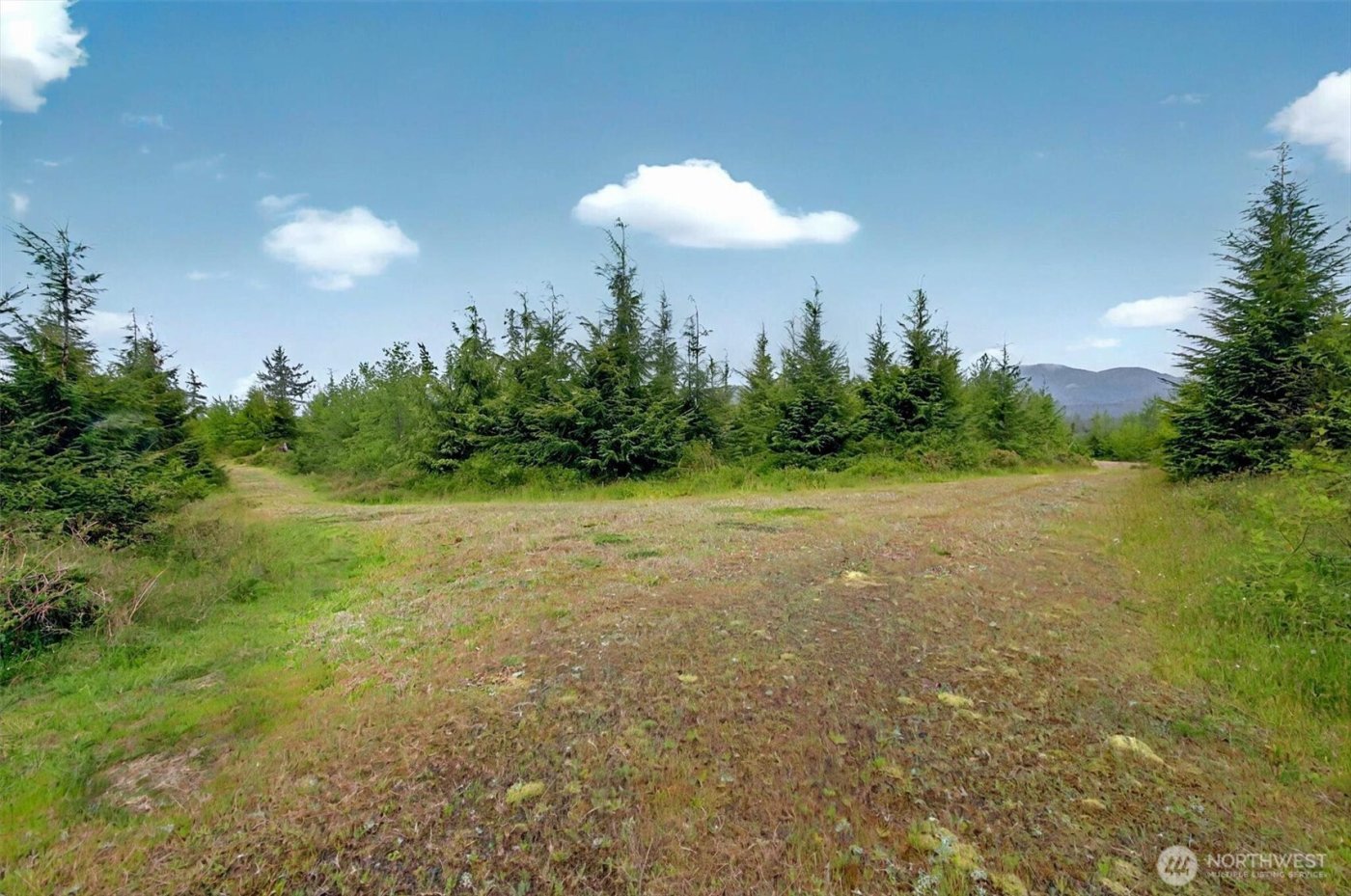 5 Parpala Road #5, Naselle, WA 98638