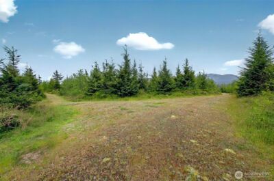 5 Parpala Road #5, Naselle, WA 98638 - Photo 1