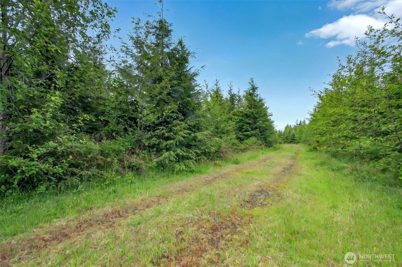 5 Parpala Road #5, Naselle, WA 98638