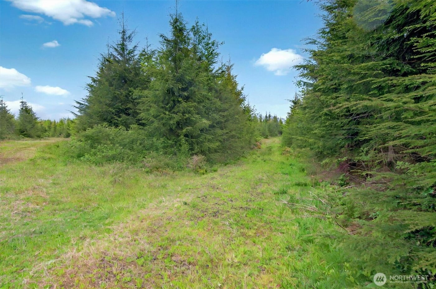 5 Parpala Road #5, Naselle, WA 98638