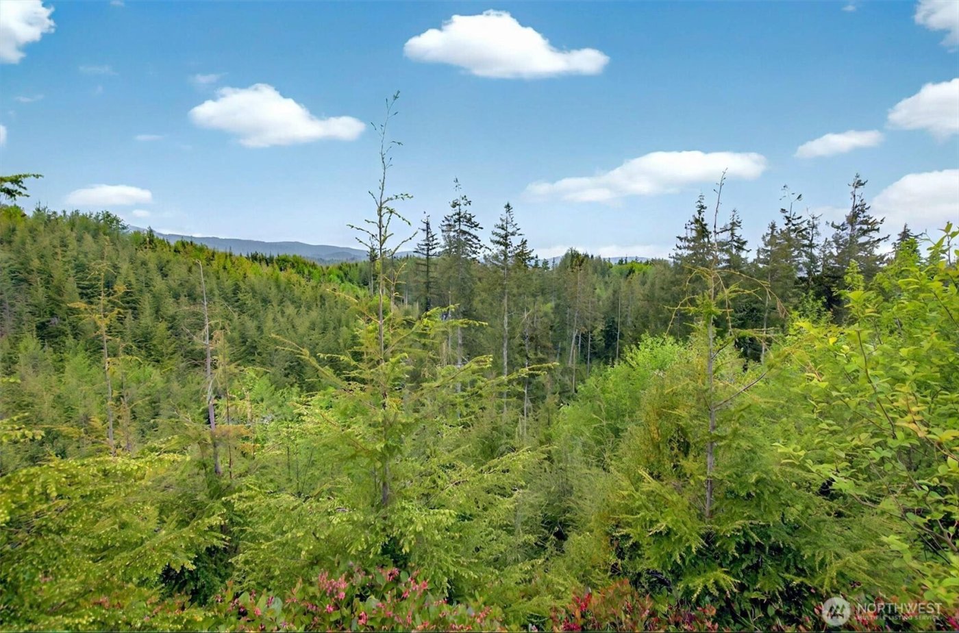 5 Parpala Road #5, Naselle, WA 98638