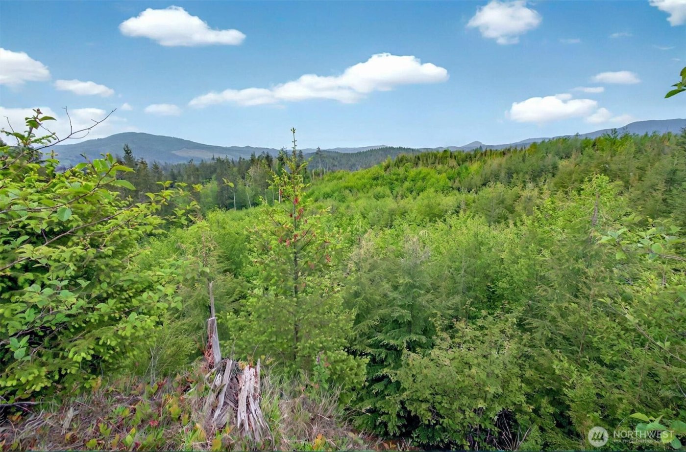 5 Parpala Road #5, Naselle, WA 98638