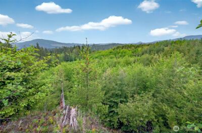 5 Parpala Road #5, Naselle, WA 98638 - Photo 15