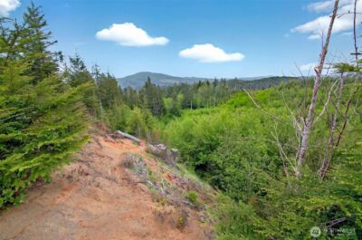 5 Parpala Road #5, Naselle, WA 98638 - Photo 16