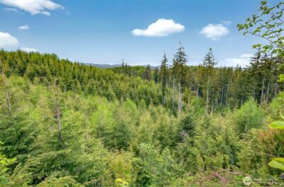 5 Parpala Road #5, Naselle, WA 98638 - Photo 17