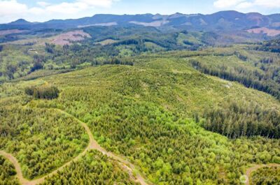 5 Parpala Road #5, Naselle, WA 98638 - Photo 18