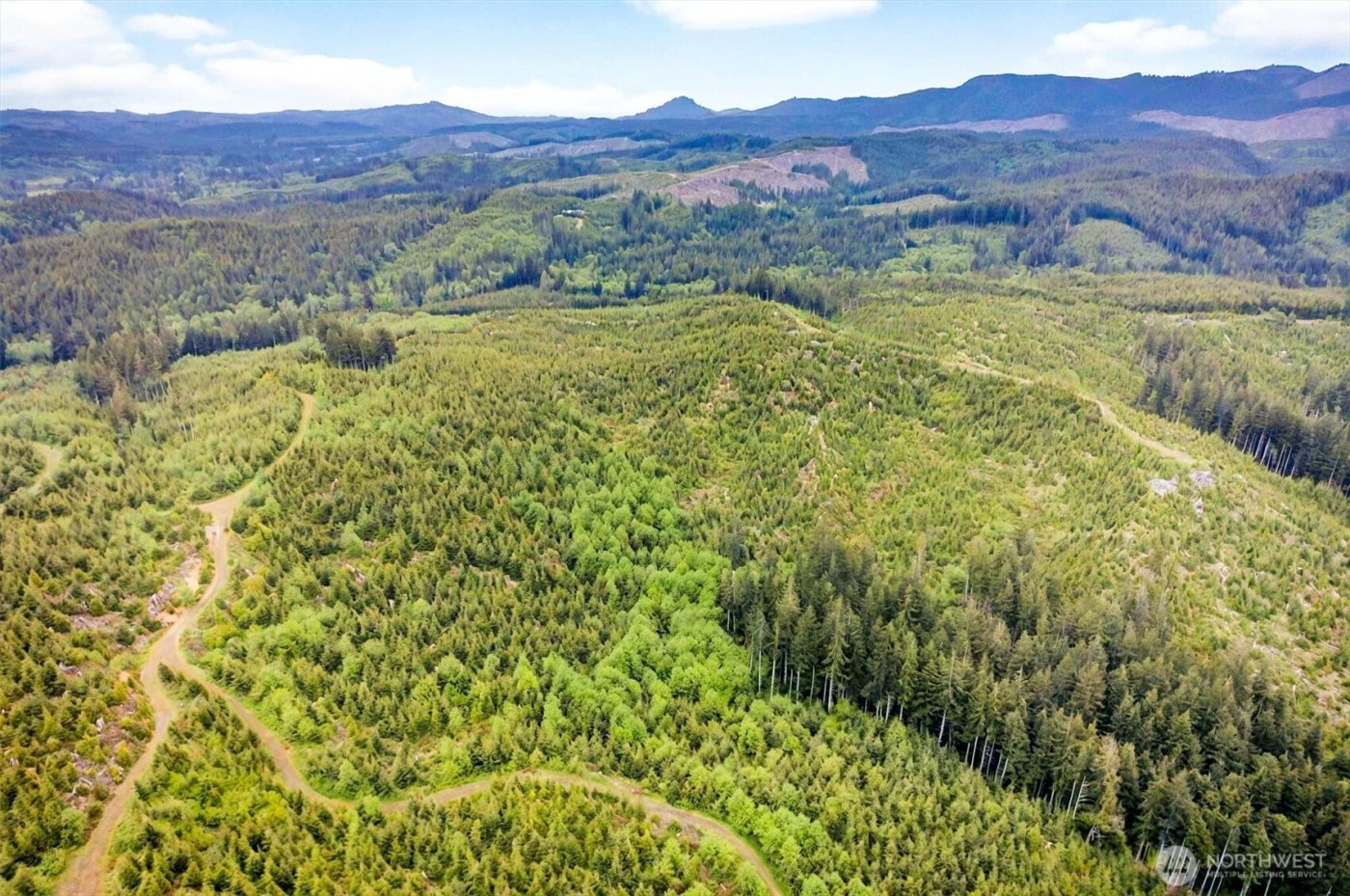 5 Parpala Road #5, Naselle, WA 98638