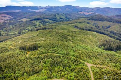 5 Parpala Road #5, Naselle, WA 98638 - Photo 2