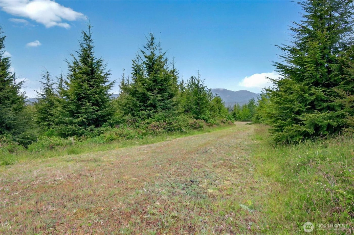 5 Parpala Road #5, Naselle, WA 98638