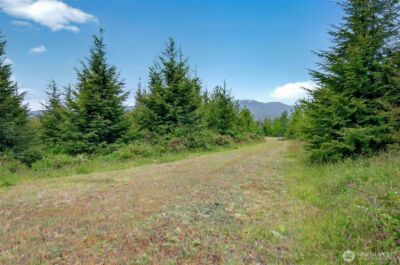 5 Parpala Road #5, Naselle, WA 98638 - Photo 3