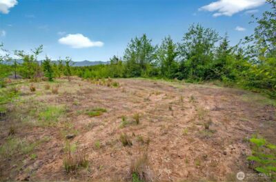 5 Parpala Road #5, Naselle, WA 98638 - Photo 4