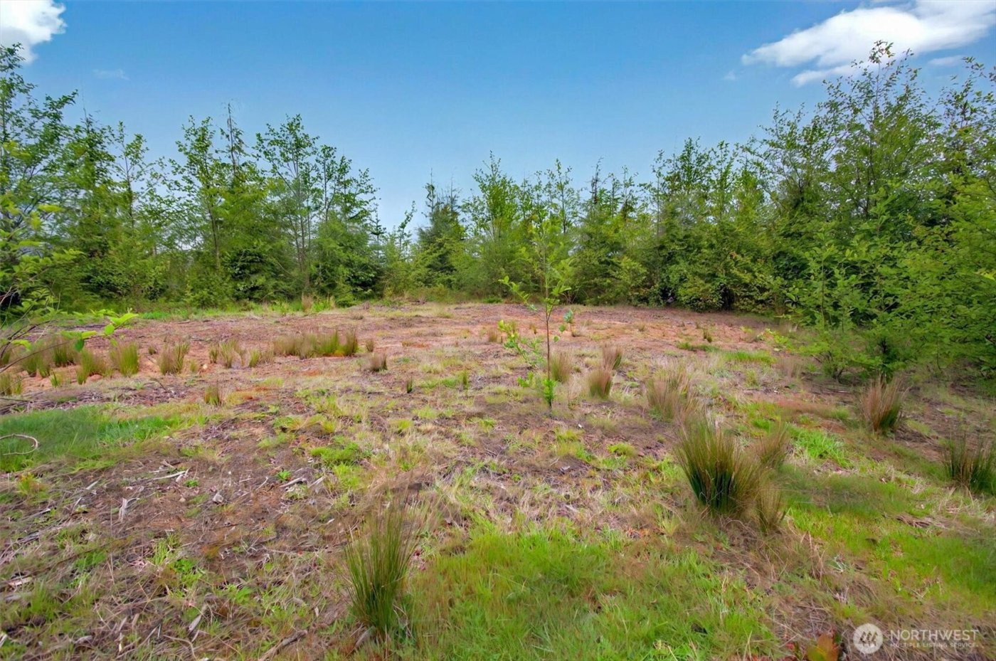 5 Parpala Road #5, Naselle, WA 98638