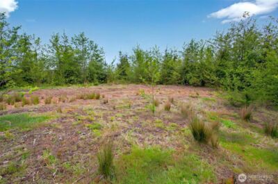 5 Parpala Road #5, Naselle, WA 98638 - Photo 6