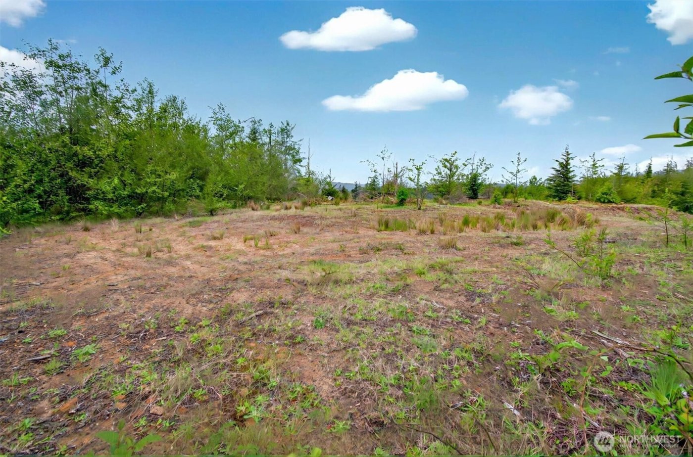 5 Parpala Road #5, Naselle, WA 98638