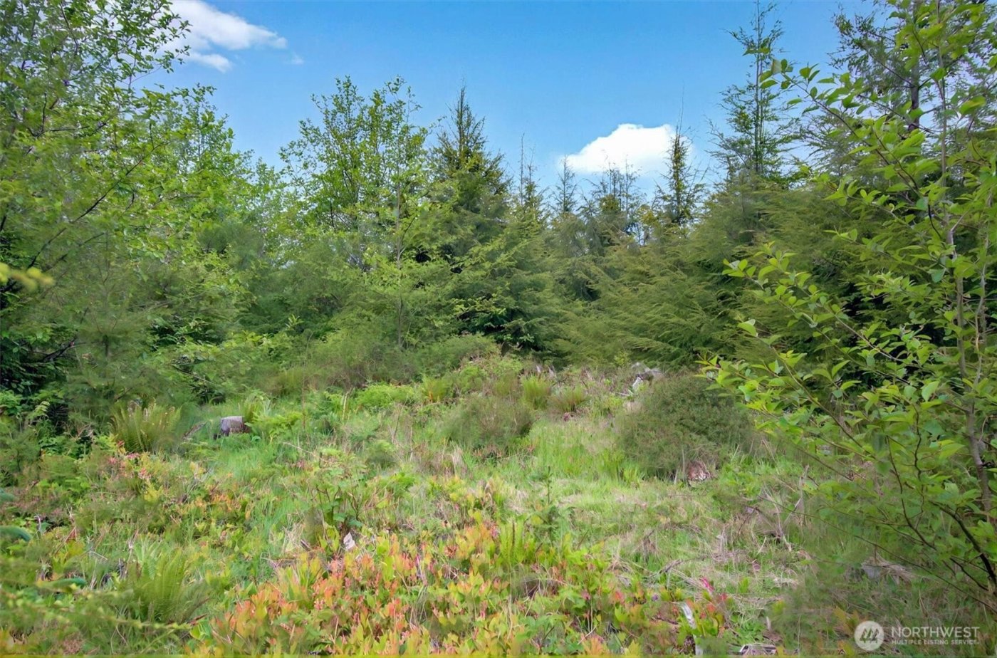 5 Parpala Road #5, Naselle, WA 98638