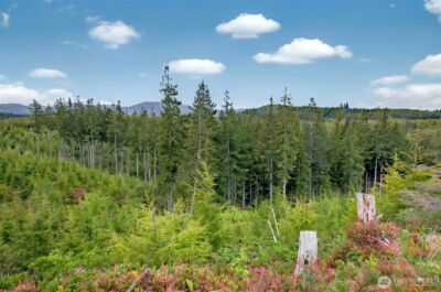 4 Parpala Road #4, Naselle, WA 98638 - Photo 1