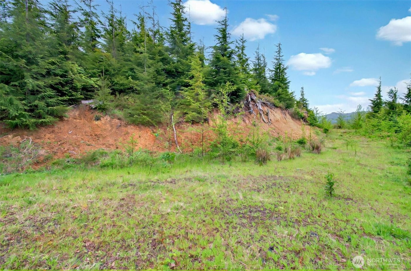 4 Parpala Road #4, Naselle, WA 98638