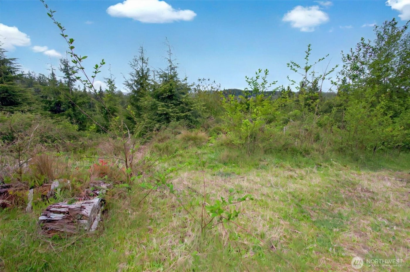 4 Parpala Road #4, Naselle, WA 98638