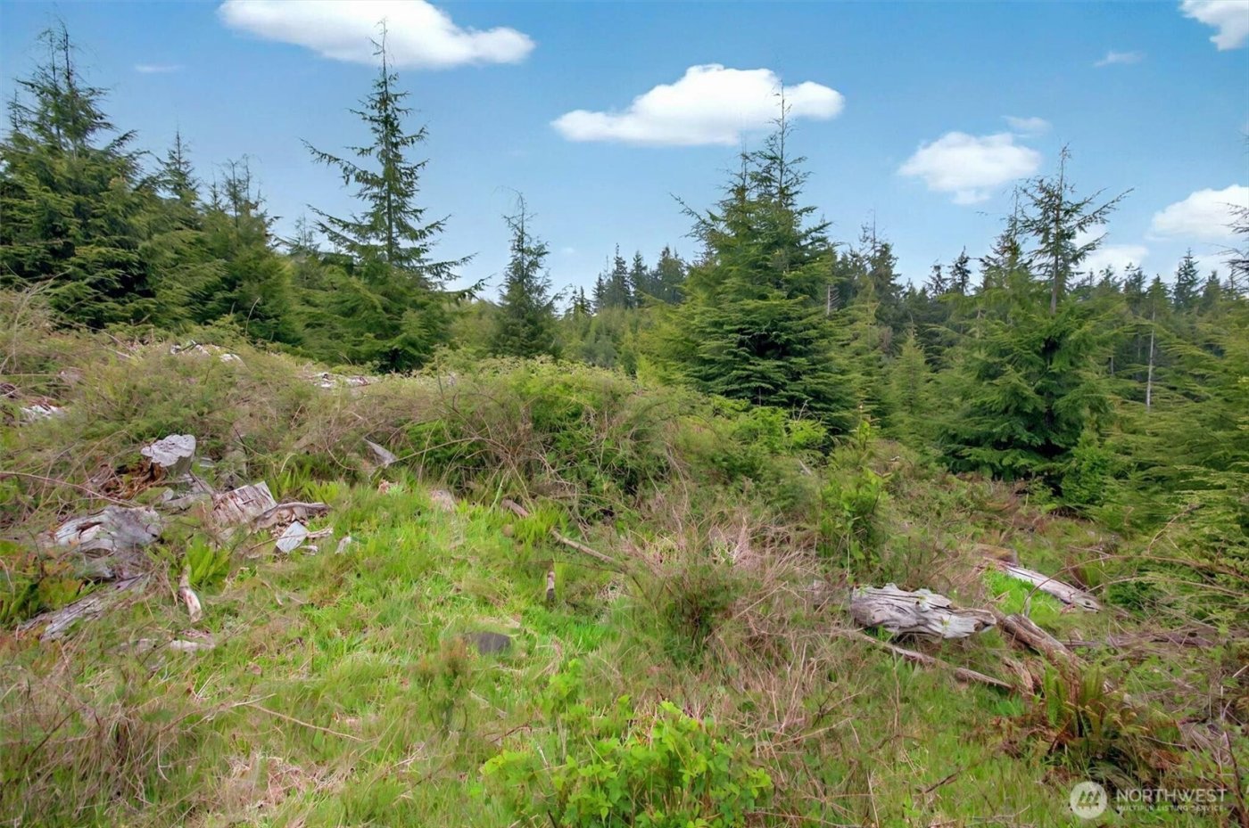 4 Parpala Road #4, Naselle, WA 98638