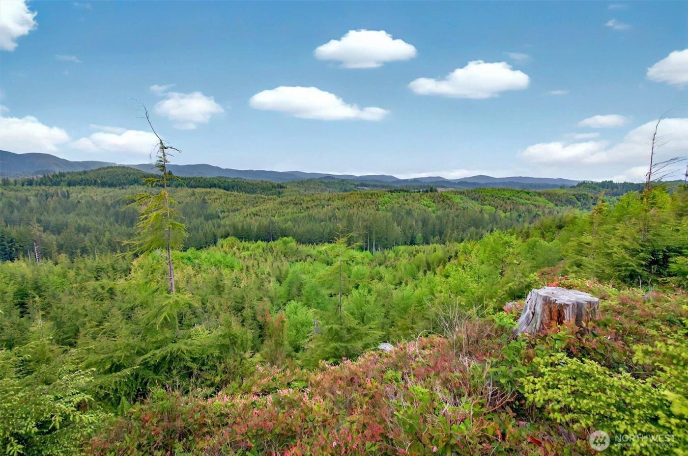 4 Parpala Road #4, Naselle, WA 98638