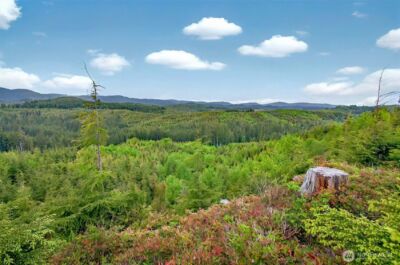 4 Parpala Road #4, Naselle, WA 98638 - Photo 15