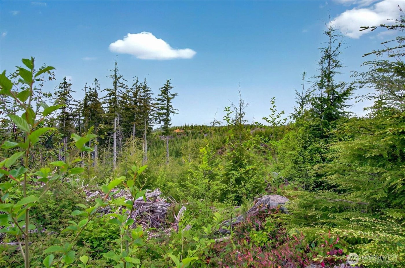 4 Parpala Road #4, Naselle, WA 98638